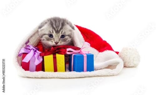 Cute ginger kitten with Christmas gifts in Santa hat isolated on white background.
