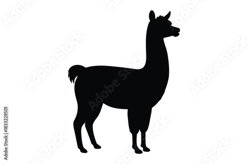 Alpaca silhouette vector, Llama silhouette