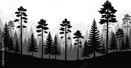 Pine forest silhouette illustration with layered trees, misty woodland landscape, nature scenery artwork for outdoor, wilderness, and environmental design themes