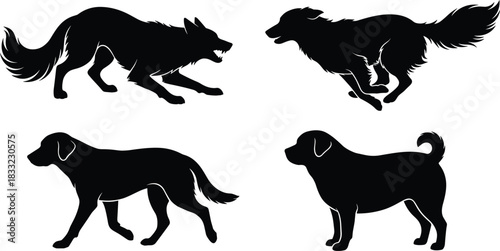 Happy Birthday greeting card design, black silhouette of a sitting dog, likely a Labrador, looking up at three balloons tied to its neck, isolated vector illustration