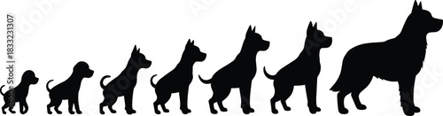 Dog growth stages, puppy to adult, silhouette evolution, pet development, animal lifecycle, black dog shapes, canine transformation, educational illustration