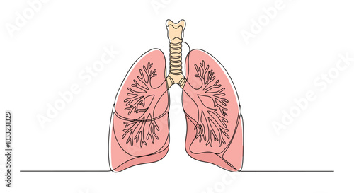 Human lungs and respiratory system drawn in a continuous single line style for medical and health-related concepts.