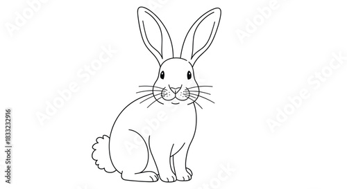 Simple black and white line art drawing of a cute rabbit sitting upright on a plain white background for coloring or design.