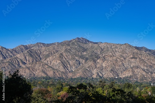 The San Gabriel Mountains seen from the Arcadia Arboretum.