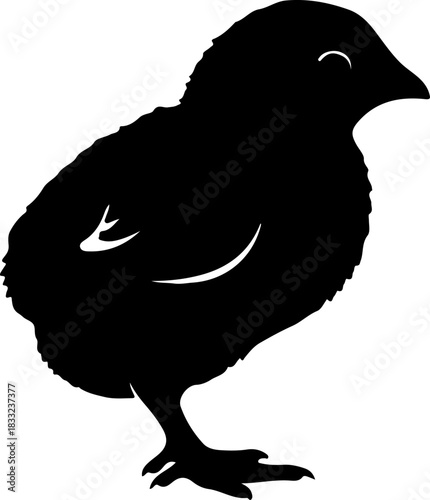 Silhouette of a Cute Baby Chick A Simple Black and White Vector Illustration