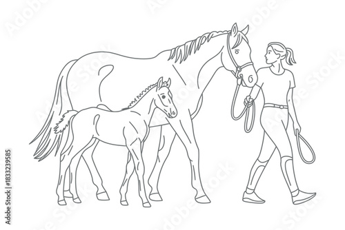 Line drawing of a woman leading a horse and foal with reins on a white background