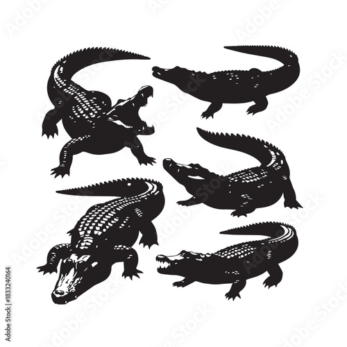 crocodile alligator silhouettes collection, crocodile silhouette, alligator vector, reptile wildlife, swamp animal