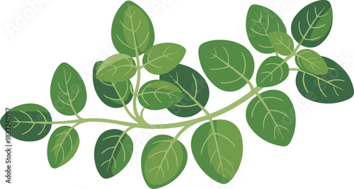 Branch with Green Leaves, Botanical Vector Illustration of Fresh Plant, Eco and Natural Concept, Isolated on Transparent Background