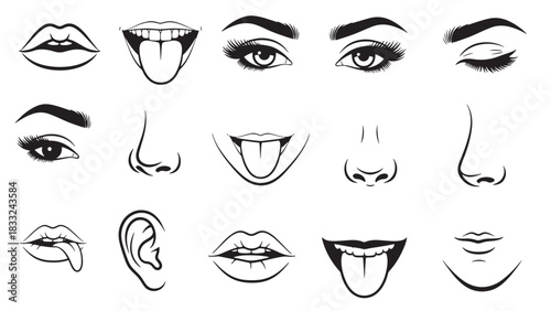 Collection of black and white vector facial features isolated on white background