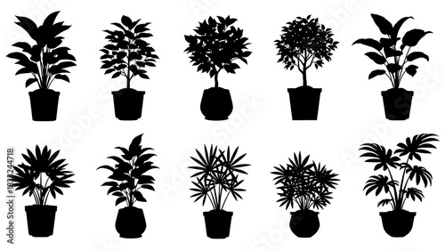 House Plant Tree Vector Silhouette Set