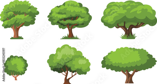 Cartoon tree collection with diverse foliage shapes, trunk styles, and canopy designs for nature-themed design and educational illustration.