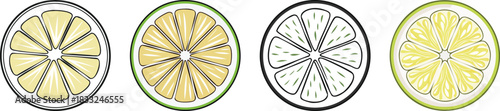 Sliced lemon fruit illustration with white outline presented as fresh citrus artwork in bright minimal design