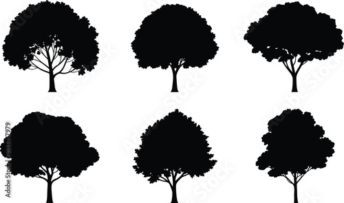 Tree silhouette collection with diverse canopy shapes and trunk styles for nature-themed design, landscape art, and educational use.