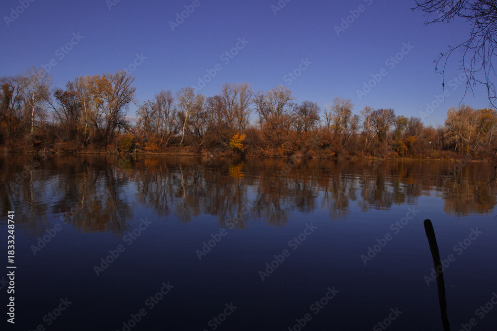 Obraz premium autumn trees reflected in water