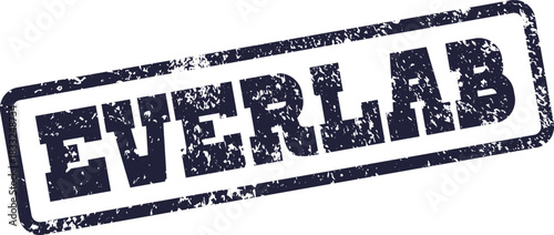 Professional Everlab text within a distressed rectangular rubber stamp style imprint