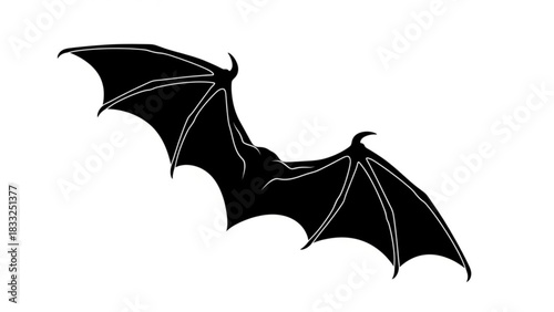 Silhouette of a bat with spread wings displaying its wing structure against a white background view