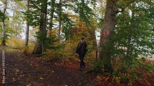 A man leisurely walks beneath a large and fallen tree branch in a vibrant and colorful autumn forest scene
