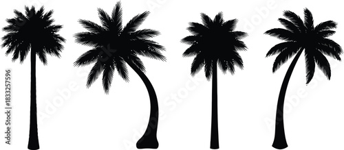 Collection of four black silhouette palm trees isolated on a white background, varying in height and sway