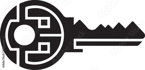 encryption key silhouette icon