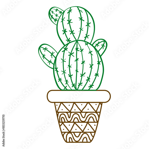 Cactus ornamented silhouette