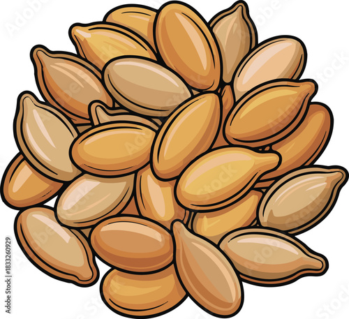 vector art of pumpkin seeds on white background