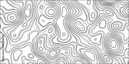 Black and White Abstract Topographic Contour Lines Forming Organic Shapes and Swirls on a White Background for Science and Nature Concepts Keywords: abstract, topographic, contour, lines, black