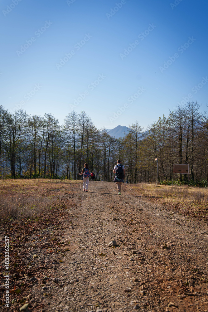 Obraz premium Hikers Walking Through Leafy Forest Trail