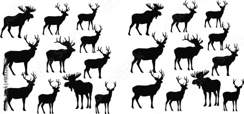 Deer silhouettes, moose silhouettes, animal comparison, wildlife pattern, antler shapes, forest creatures, visual puzzle, nature icons, classification grid, black silhouettes