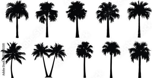 Silhouette palm tree collection for tropical designs and summer vibes