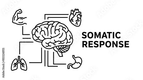Somatic Response: Brain, Body Connection, and Stress Reaction Vector Icon