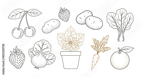 Botanical illustration of various fruits, vegetables, and a potted plant, presented in a delicate line art style, ideal for healthy eating or gardening themes.
