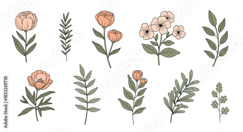 Delicate floral collection featuring hand-drawn wildflowers and foliage in muted peach and green tones, perfect for botanical illustrations and design elements.