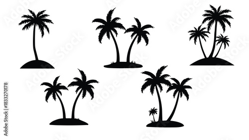 tropical coconut, palm tree silhouette