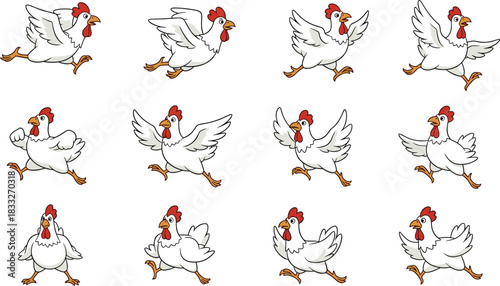 Cartoon chicken character set in dynamic poses, expressive farm animal animation frames, playful poultry design, flat vector illustration