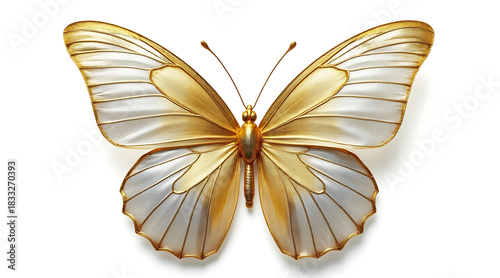 Golden and white realistic photograph of full body butterfly with translucent wings and delicate antennae on white background