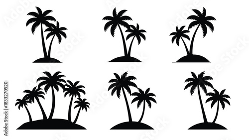 tropical coconut, palm tree silhouette