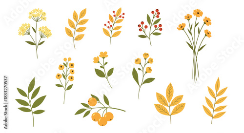 A charming collection of stylized autumn floral and berry branches in warm yellow, orange, and green tones, perfect for seasonal designs.