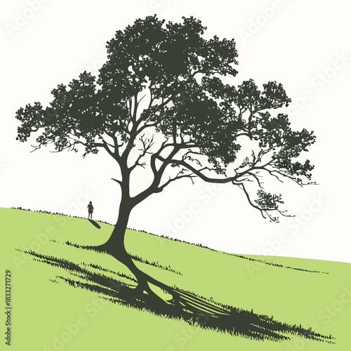 A solitary person stands beneath the expansive silhouette of a large ancient tree on a grassy hill