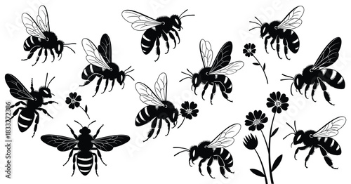 Flying Bee Silhouettes with Detailed Wings and Flower Interaction in a Pollination Scene Vector Illustration for Spring Wildlife Design on White Background