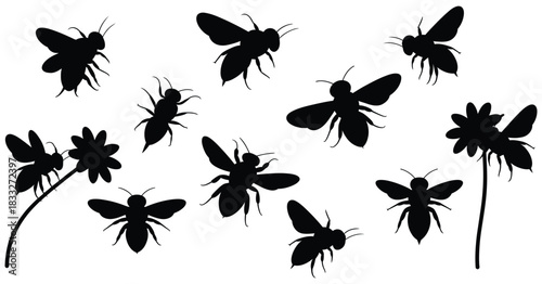 Flying Bee Silhouettes with Detailed Wings and Flower Interaction in a Pollination Scene Vector Illustration for Spring Wildlife Design on White Background
