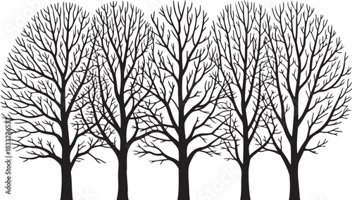 A bare black vector silhouette of a single winter oak tree with dead branches against the cold sky landscape