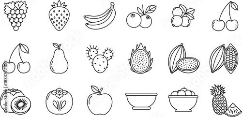 Collection of fruit line icons featuring tropical, berry, citrus, and exotic produce including grapes, cherries, bananas, kiwi, apple, cocoa, and pineapple illustrations