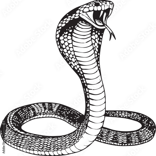 Aggressive King Cobra Snake Vector