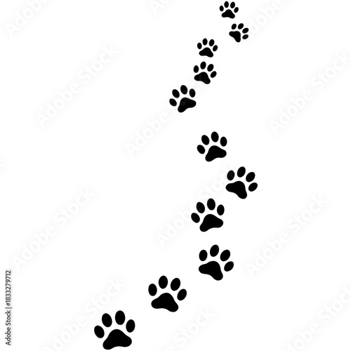 paw prints on white background