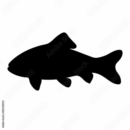 A stark black silhouette of a fish swimming to the right side