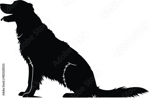 Silhouette of a happy dog sitting and panting with its tongue out