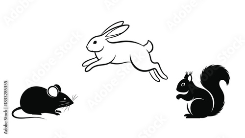 Set of three animal illustrations including a black mouse silhouette, a jumping rabbit outline, and a black squirrel silhouette.
