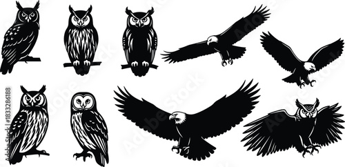 Set of owl and eagle silhouettes, flying birds of prey vector illustration, wild animal black icons.