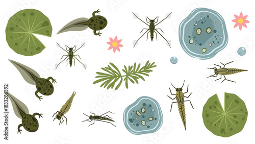 Pond life collection with tadpoles, water striders, dragonfly nymphs, lily pads, and aquatic plants in a cute, simple style.
