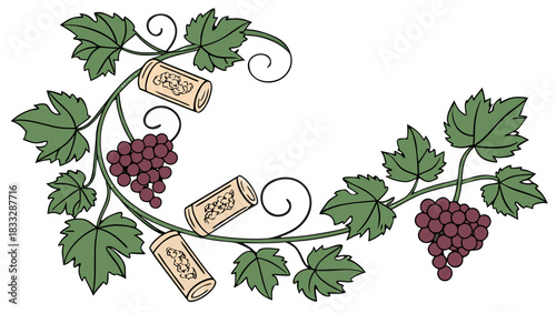 Grapevines with Red Grapes and Wine Corks Vector Illustration, A decorative illustration featuring swirling grapevines with bunches of red grapes and wine corks.